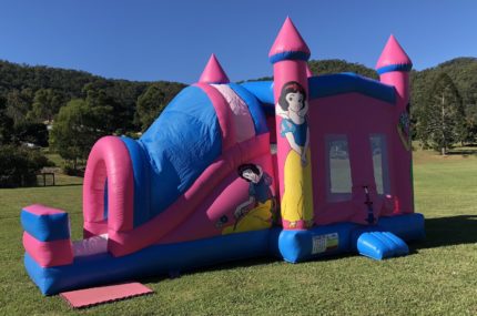 jumping castle and inflatable slide